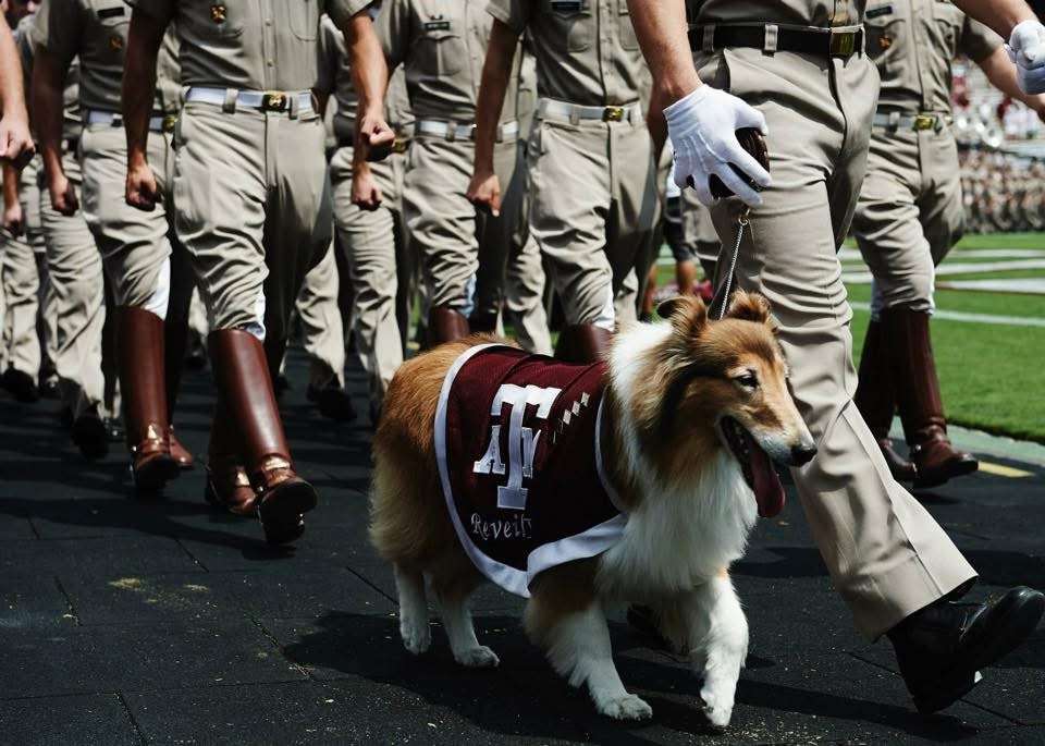 Aggieland Gameday